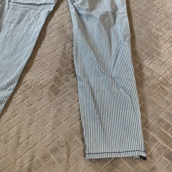 J Crew Womens 30 Jeans Blue White Stripes Skinny Ankle Zip Mid Rise Stretch - Picture 12 of 13